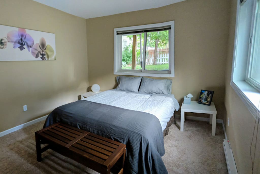Master Bedroom with two large windows facing the yard