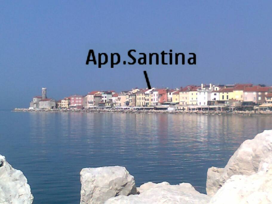 The location