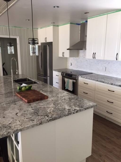 Modern open space kitchen with huge island