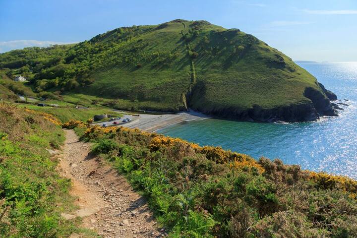 Ddol Cottage Wales Coastal Cottage With Donkeys Cottages For