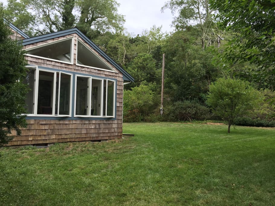 Side and back lawn