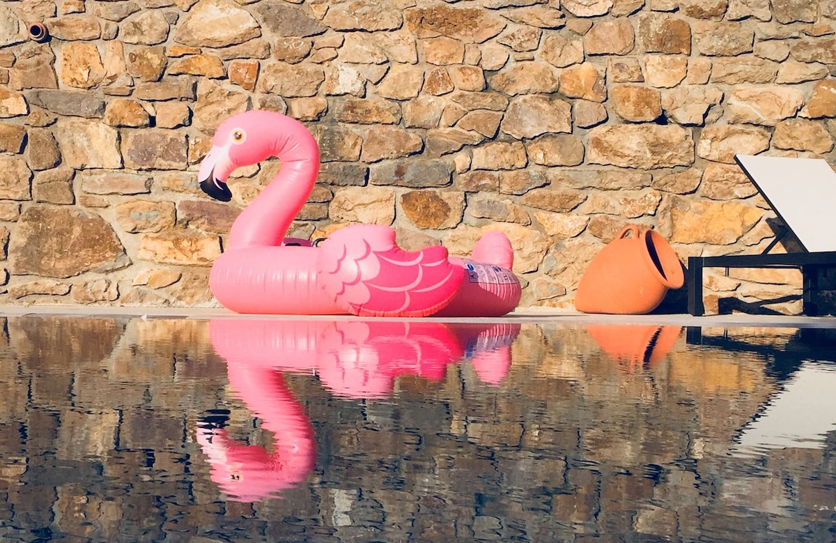 Mas Empordà — view 3