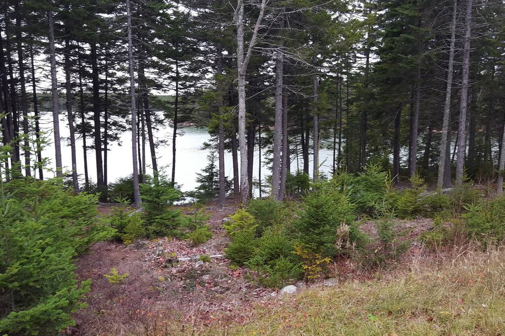 The path through the pines directly on the bay.