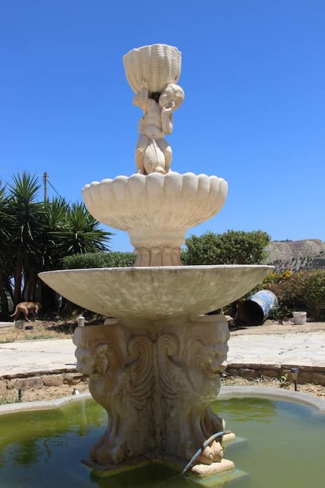 The fountain