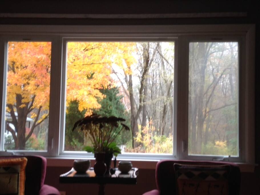 View from living room window