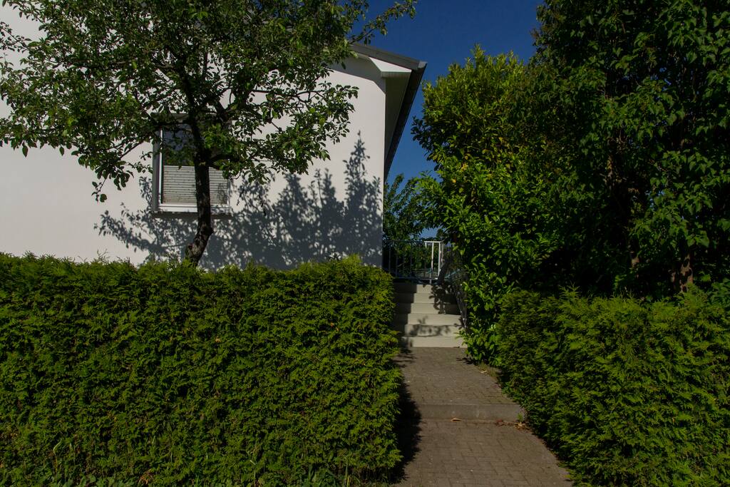 Eingang zum Haus und Garten. Ostseite.