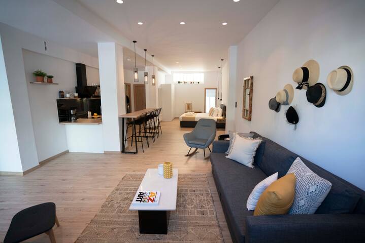 Modern 2bed 2bath loft in Acropolis area