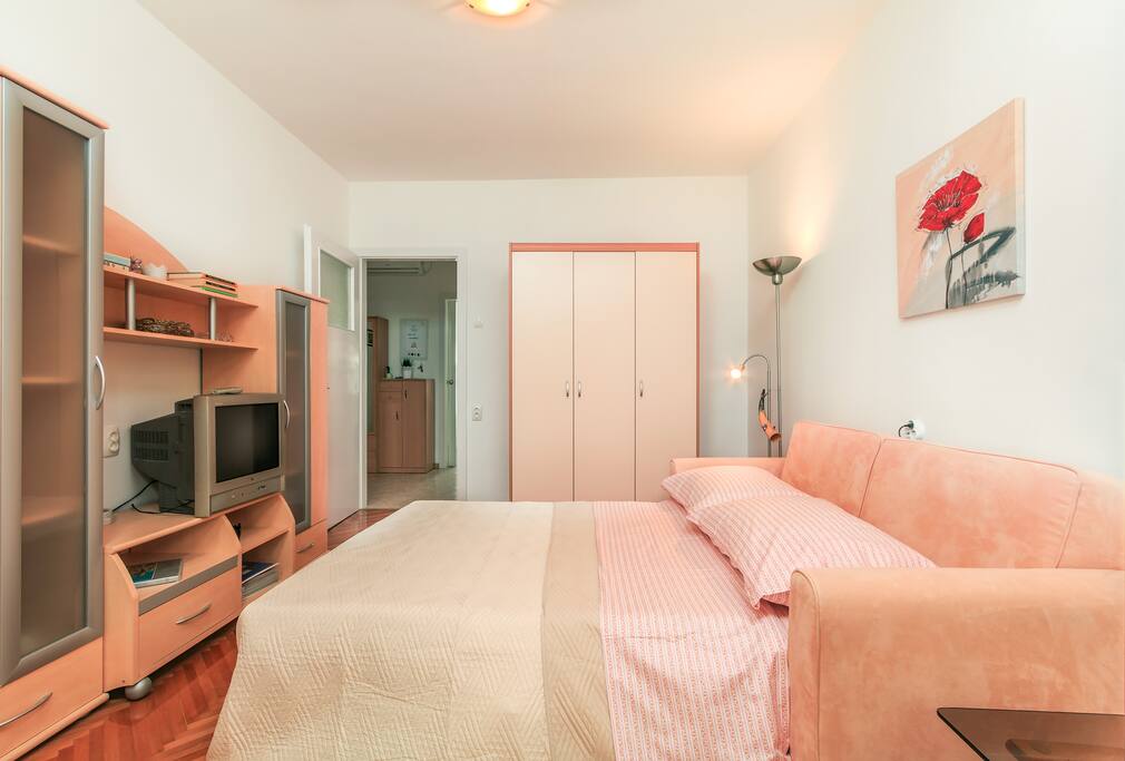 LIVING ROOM WITH SLEEPING POSSIBILITY