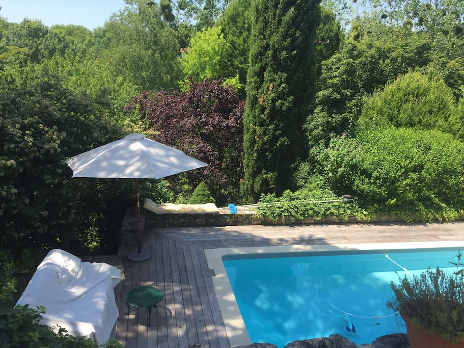 piscine/ Swimming pool