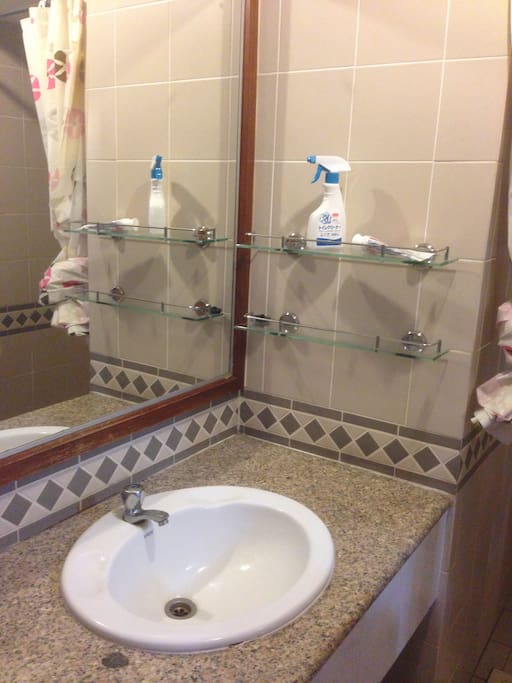 Toilet area