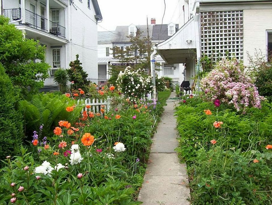 Back yard in the Spring