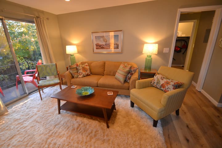 R-22 Furnished 1 Br Central Location - Ludlow, KY