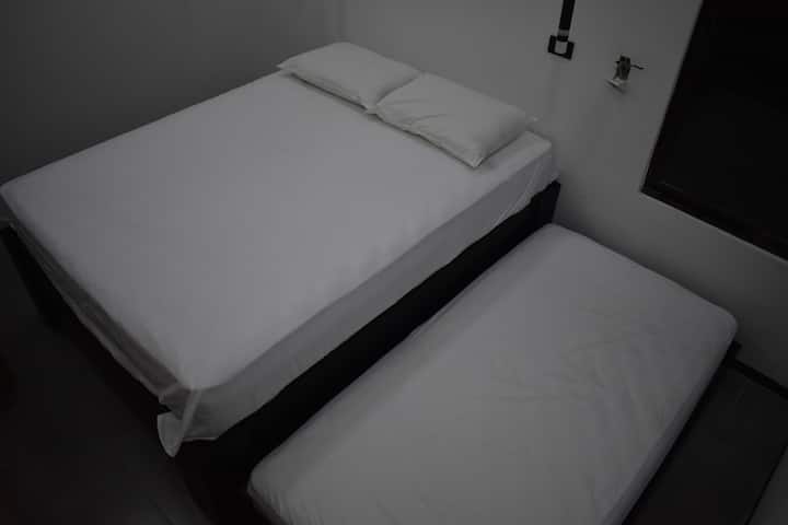 Стая #2 Двойно легло с двойно гнездо