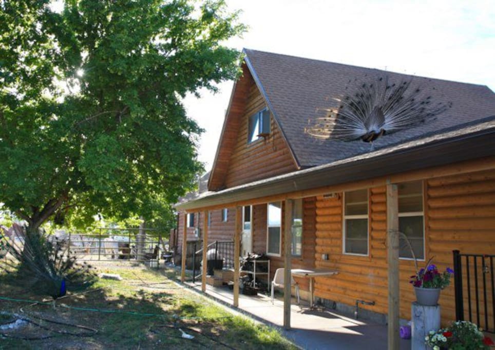 Back of Ashram