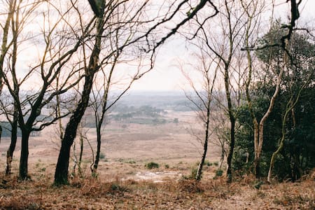 A Hidden Gem - Tranquil Barn in the New Forest