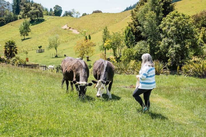 New Zealand farm stay