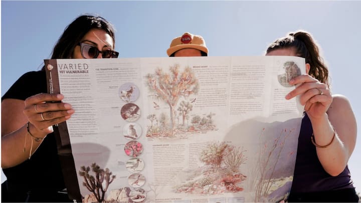 Three people looking at a Joshua Tree National Park map. 