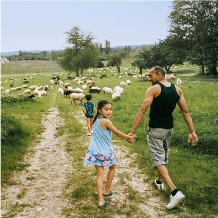A man and two children walking down a dirt road into a field with many sheep. 