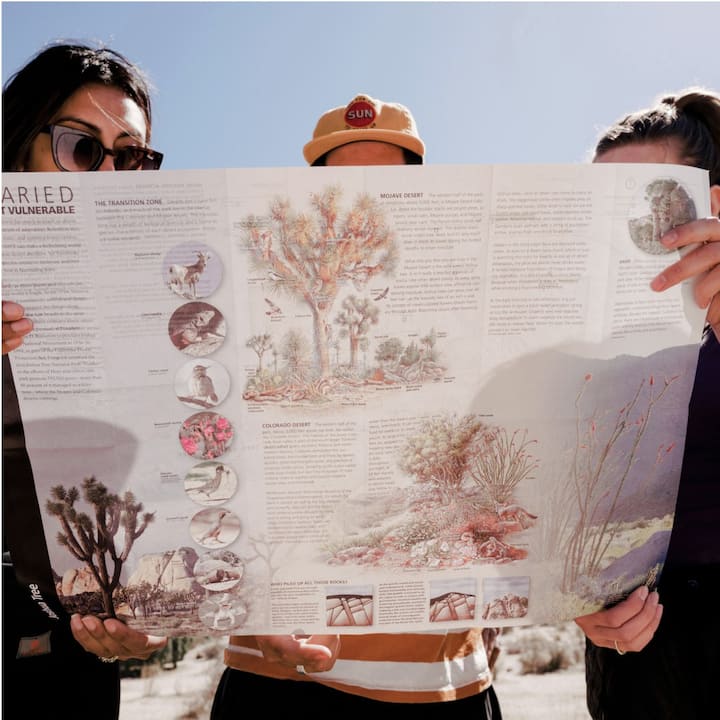 Three people looking at a Joshua Tree National Park map. 
