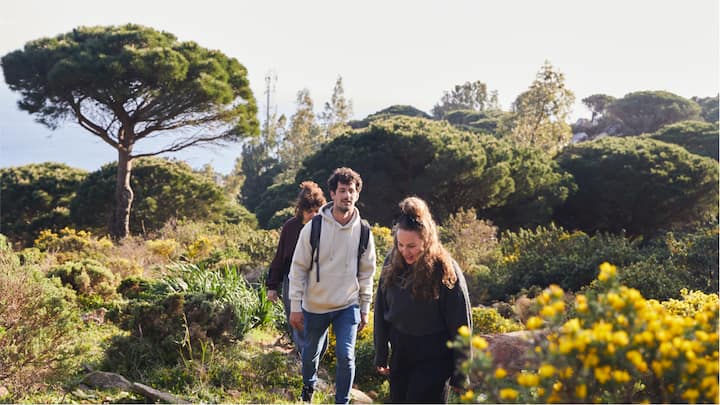 Three friends on a leisurely hike near the coast.