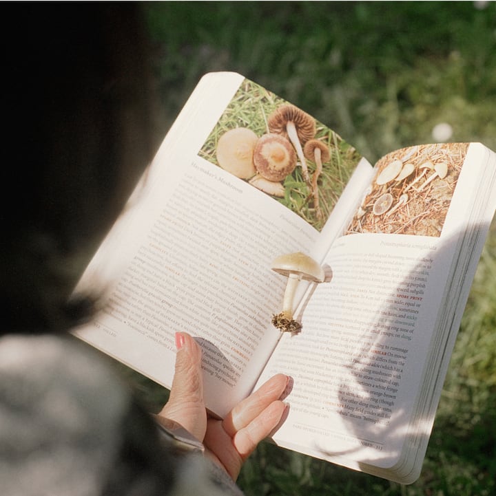 A woman consults a mushroom book while foraging.