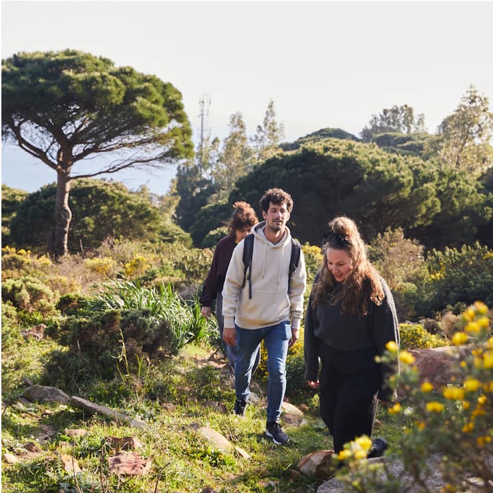 Three friends on a leisurely hike near the coast.