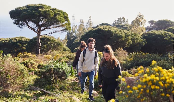 Three friends on a leisurely hike near the coast.