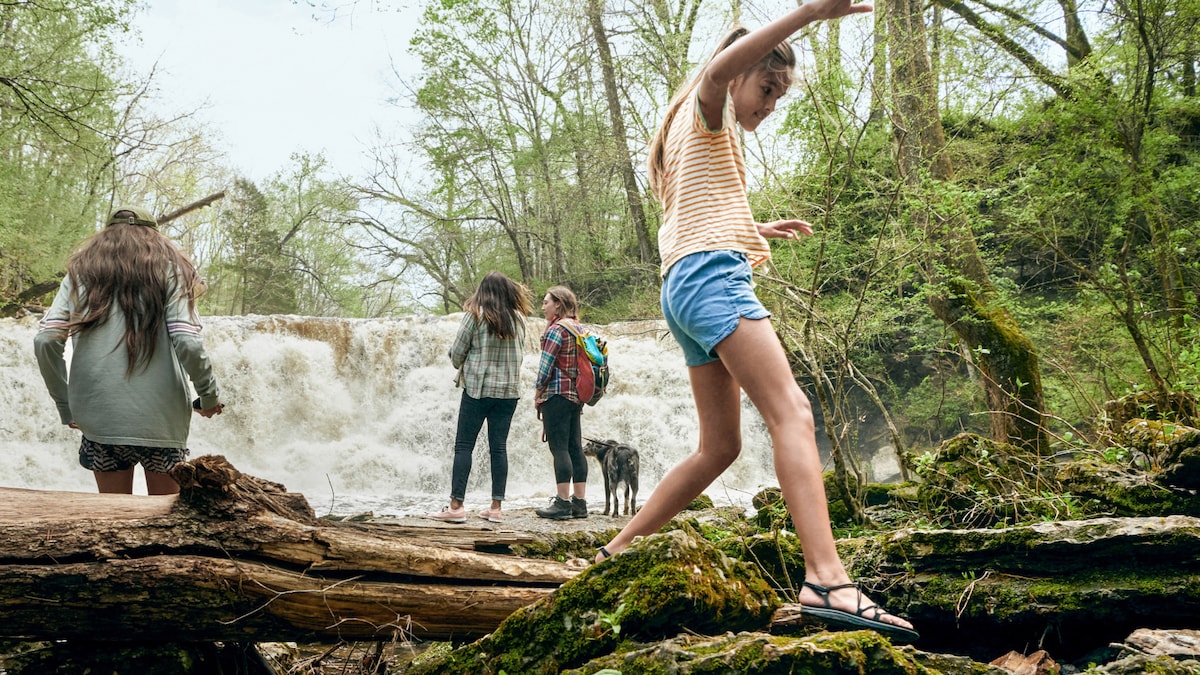 Airbnb propose un guide pour explorer l'histoire des parcs nationaux en famille
