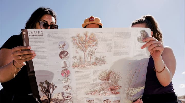 Three people looking at a Joshua Tree National Park map. 