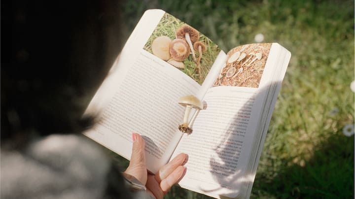 A woman consults a mushroom book while foraging.