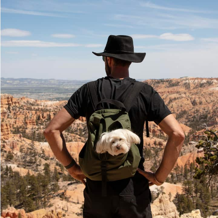 A small dog pokes its head out of a hiker’s backpack at a desert vista.