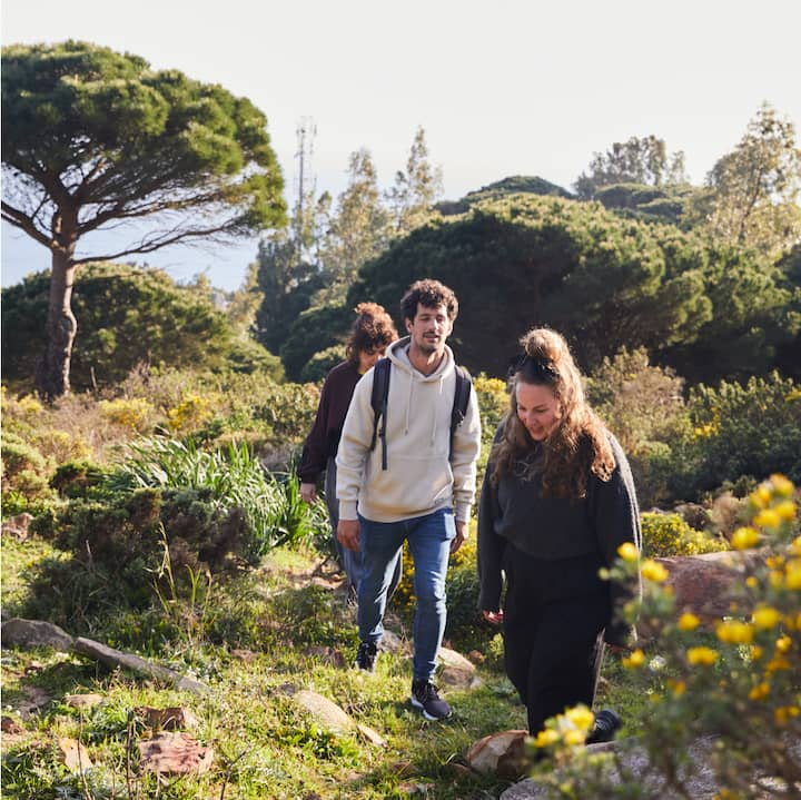 Three friends on a leisurely hike near the coast.