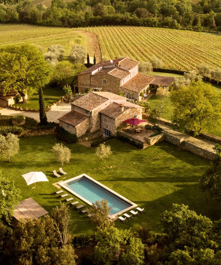 Vineyards Tuscany Italy