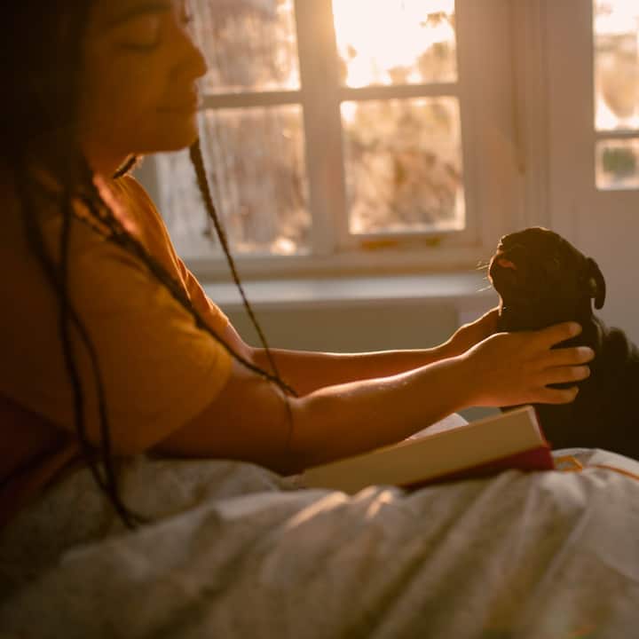 A little girl pets a tiny black pug while sitting on a sunny bed. 