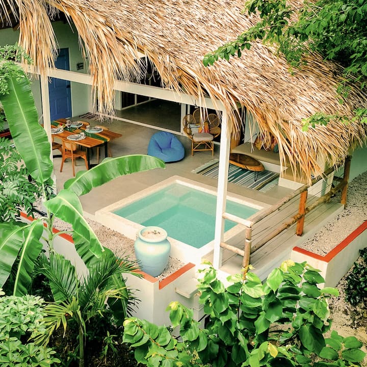 A plunge pool is nestled into a house’s tropical landscape.