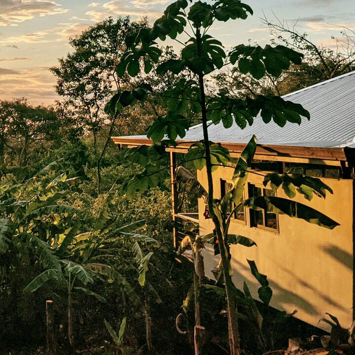 A modern villa takes in a beautiful tropical sunset. 