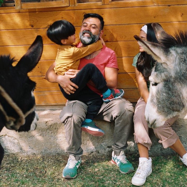 A young boy clings to his father’s chest as they meet some new donkey friends.