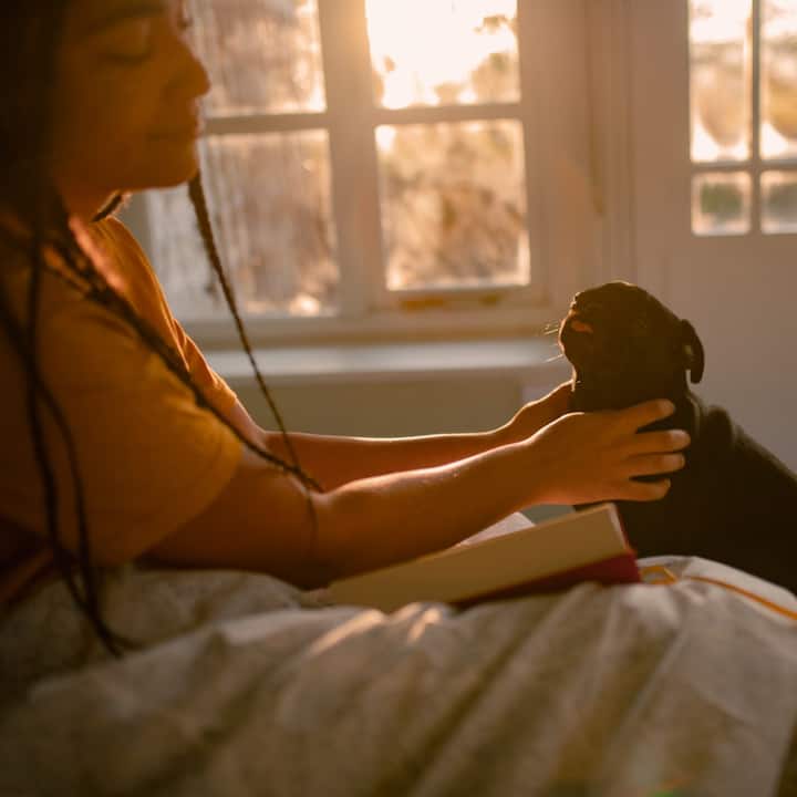 A little girl pets a tiny black pug while sitting on a sunny bed.