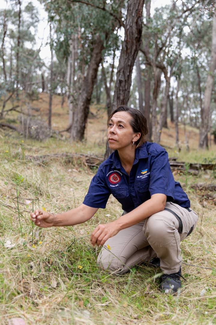 Uma pessoa usando uma camisa azul-marinho e calça cáqui se ajoelha na grama em frente a um bosque.