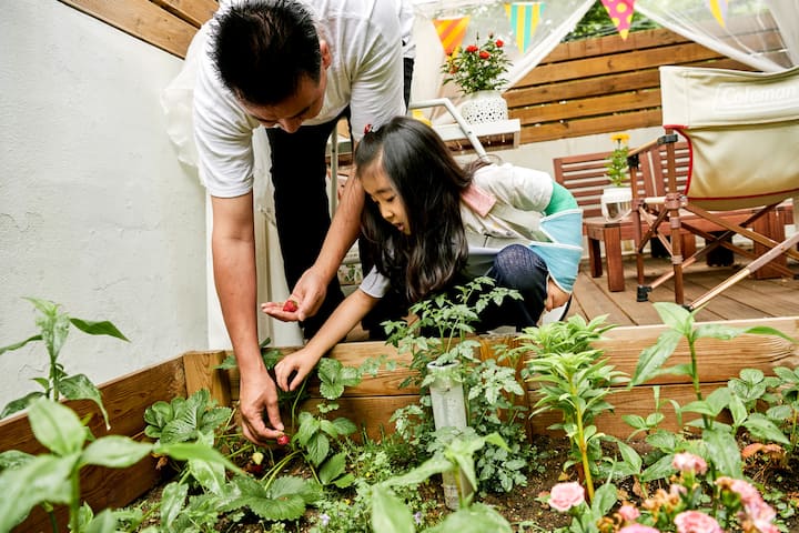 Un adult și un copil se apleacă spre un strat cu legume, pe o terasă din lemn mobilată.