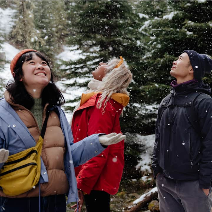 Three friends enjoying a first snowfall.