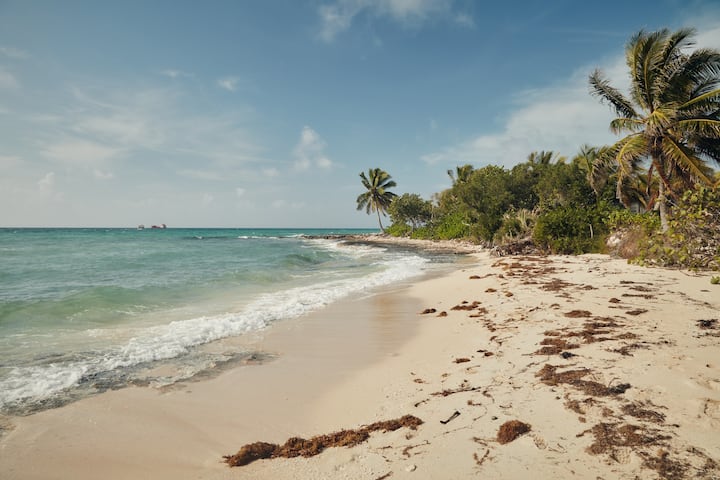 El agua del mar baña una playa de arena. Las palmeras se mecen con la brisa bajo un cielo azul brillante.