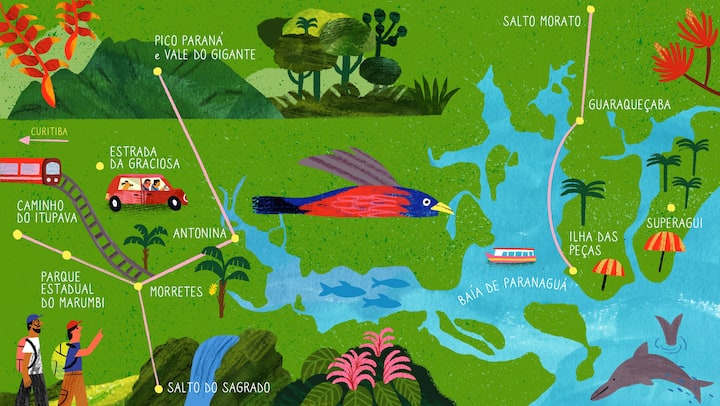 mapa ajustado paraná