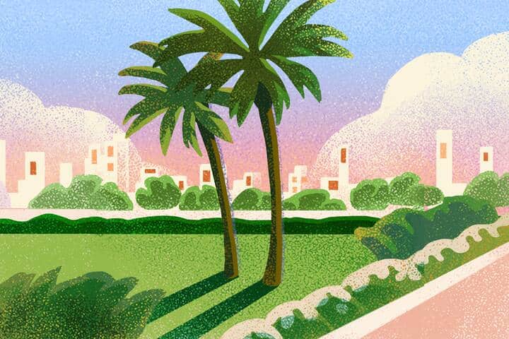 Ilustración de palmeras en San Diego, California.