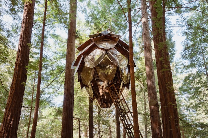 Une cabane originale en forme de pomme de pin est suspendue dans les airs, entourée d'arbres hauts. Elle paraît se trouver dans un lieu isolé. 