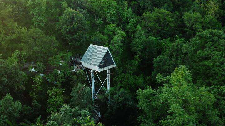 Small raised hut in a green forest