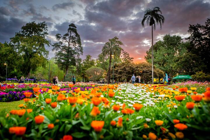 Toowoomba Carnival of Flowers