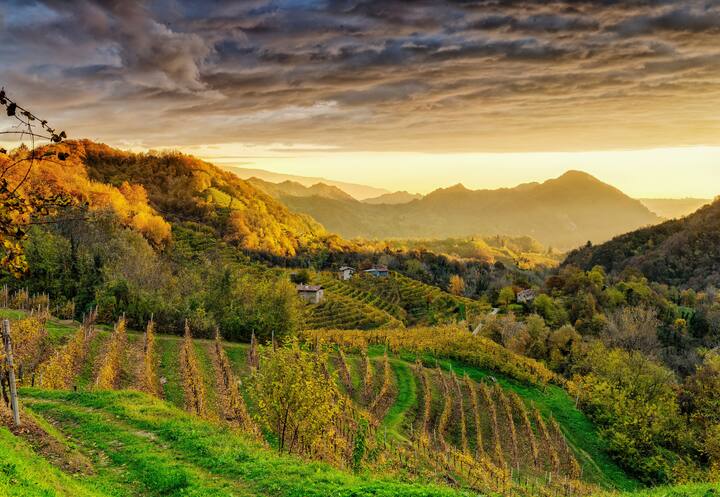 colline