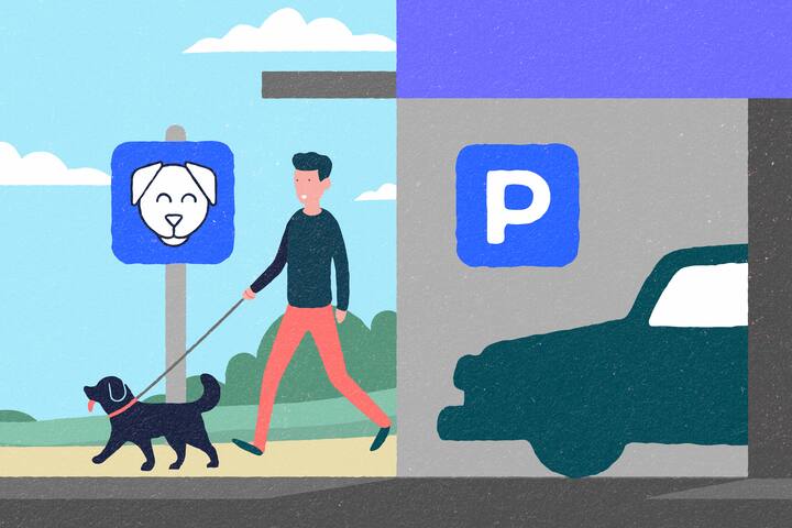 Persona paseando un perro