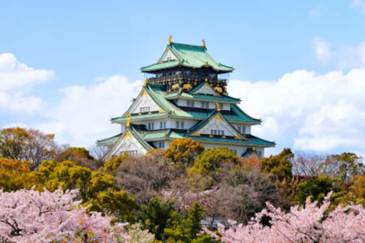 Image of Osaka Castle towering above cherry blossom trees.